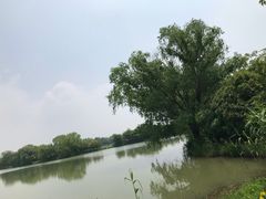 -苏州太湖国家湿地公园