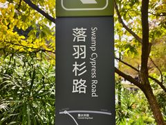 -云溪植物园