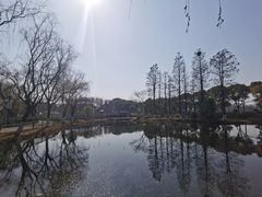 -金银湖国家城市湿地公园
