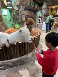 -宝燕乐园(闵行旗舰店)