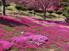 -石岛赤山风景区
