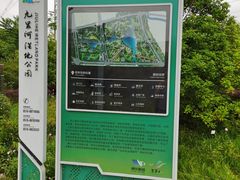 -九里河湿地公园