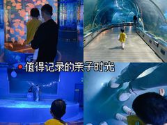 -石家庄海洋公园