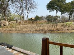 -沙家浜风景区