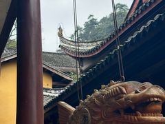 -缙云山景区