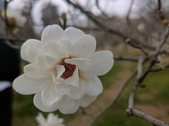 -陕西省西安植物园