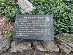 -善卷洞风景区