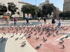 -加泰罗尼亚广场