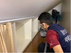 -全屋清新除甲醛 上海
