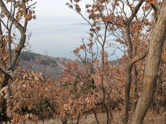 -山东大学(威海校区)