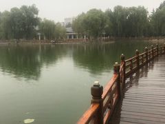 -金城公园