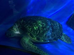 -成都浩海立方海洋公园