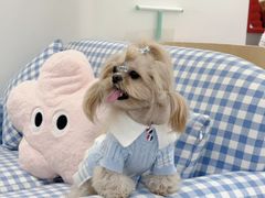 -安安宠医宠物医院·异宠·犬猫内科(岳阳分院)
