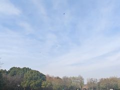 -明故宫遗址公园
