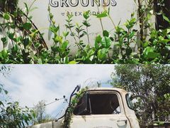 -The Grounds of Alexandria