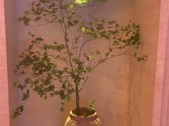 -舒小悦·舒养SPA·古法推拿(光环中心店)