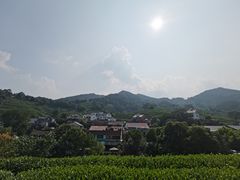 -龙井村