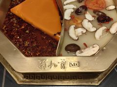-蜀九香火锅(彩虹店)