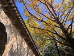 -灵谷景区
