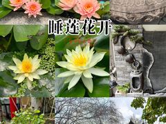 -坂田手造文化街