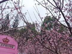 -求水山公园