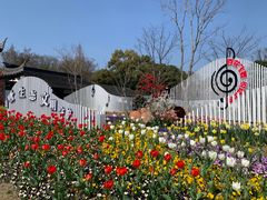 -苏州上方山国家森林公园