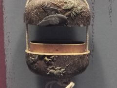 -美国自然历史博物馆