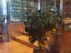 -君悦酒店·La Terrazza意合園·意式风味