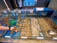 -船歌·鱼水饺青岛菜(闽江二路店)