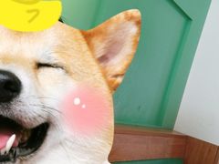 -我的甜·泰国餐厅