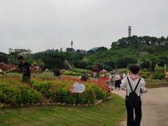 -河源客天下-温泉小镇