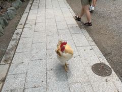 -热田神宫