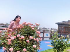 -鹅湖玫瑰文化园
