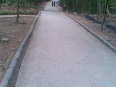 -火炉山森林公园