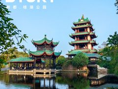 -桂湖森林公园