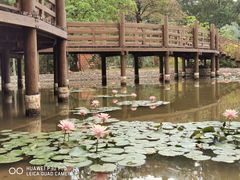 -深圳国际园林花卉博览园