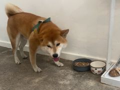 -三目仓咖啡(贤南路店)