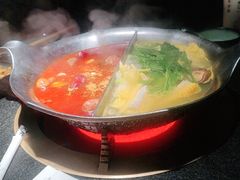 -湊湊火锅·茶憩(石家庄万象城店)