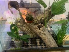 -Rabbit Cafe私房西餐甜点咖啡(栖霞路店)