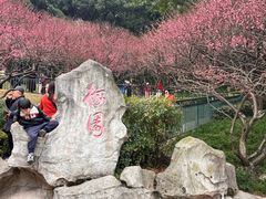 -重庆彩云湖湿地公园