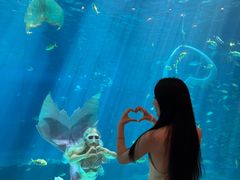 -三亚海昌梦幻海洋不夜城