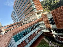 -香港大学