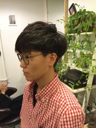 -大象造型