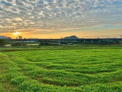 -光明小镇欢乐田园