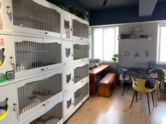 -东方名猫馆·英短金渐层布偶猫舍(环线广场1号楼店)