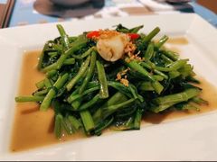 秘制虾酱炒空心菜-帕蓝·暹罗料理(大学路店)