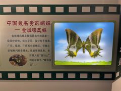 -上海昆虫博物馆