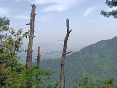-大奇山国家森林公园