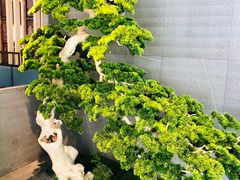 -虹泥小厨(南国花园总店)