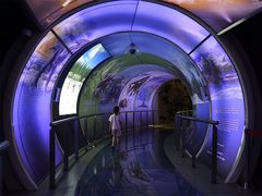 -房山世界地质公园博物馆